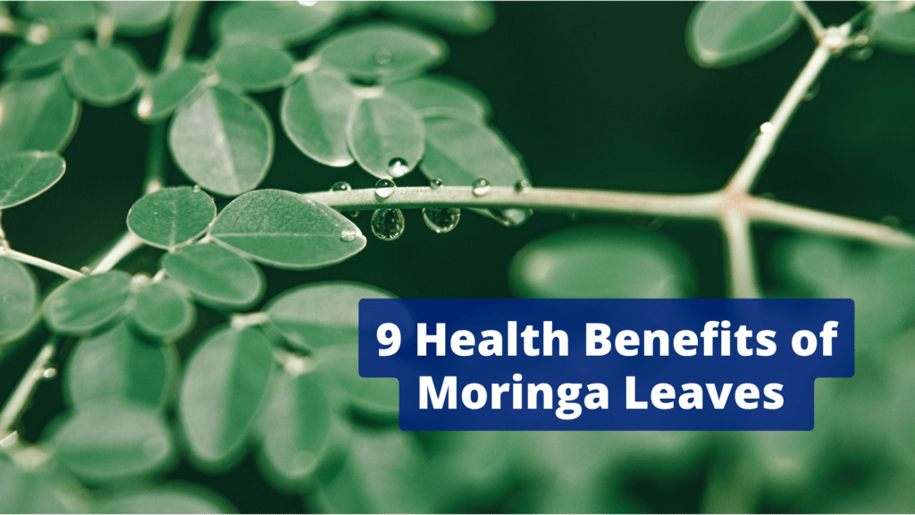 Health Benefits of Moringa