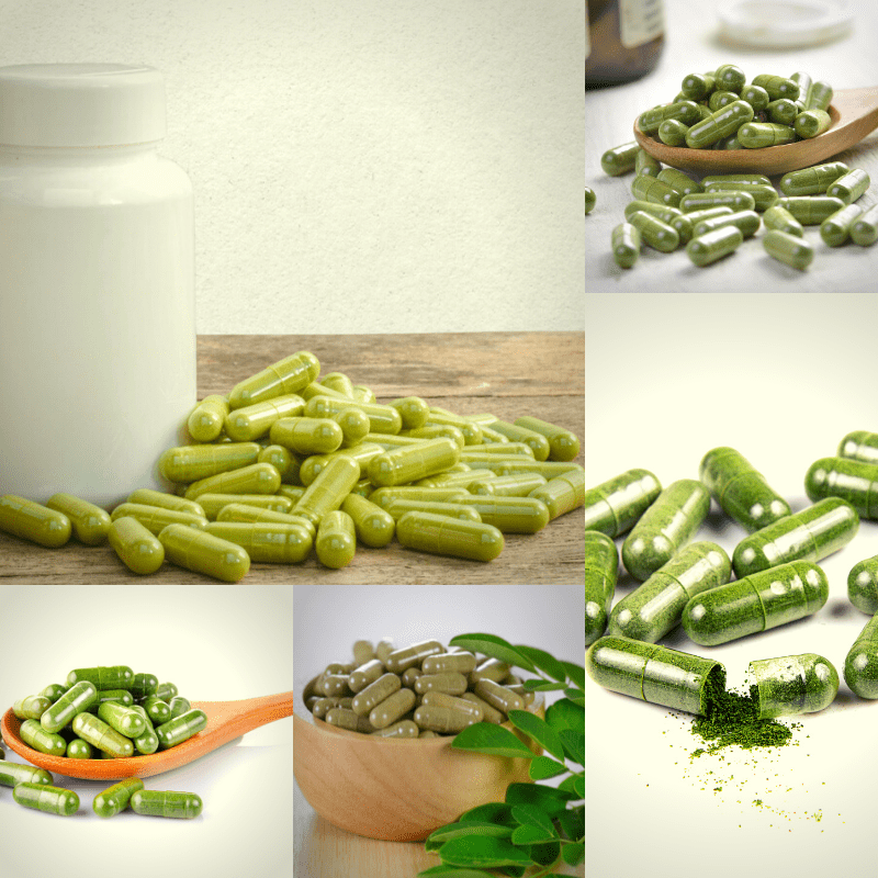 10 Advantages of Moringa Based Health Supplements