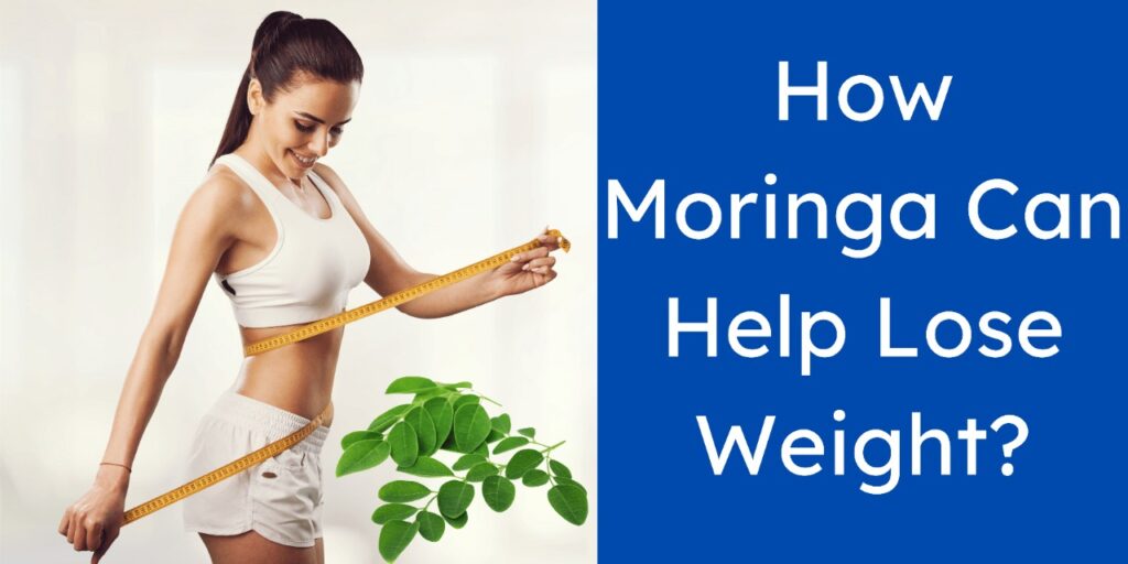 how moringa can help lose weight