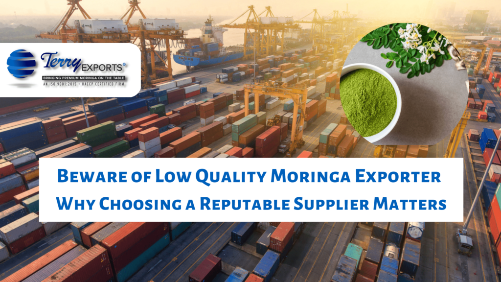 Best Quality Moringa Exporters