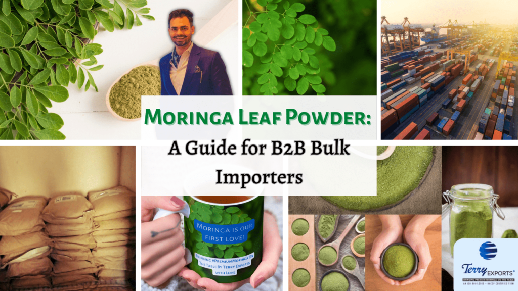 Moringa Leaf Powder Guide for Importers