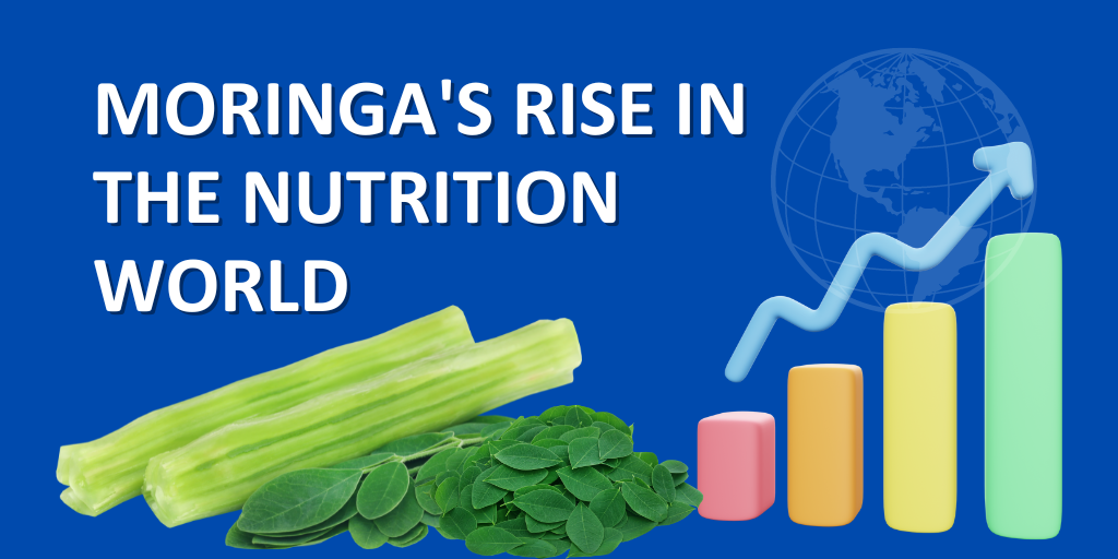 Moringa's Rise in the Nutrition World