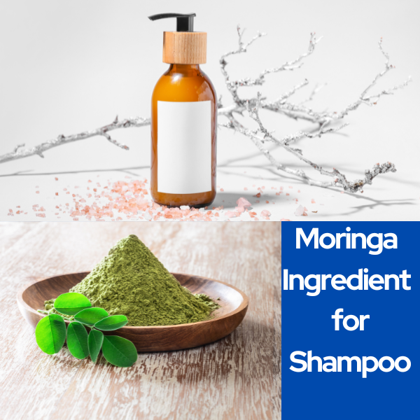 Moringa Ingredient for Shampoo