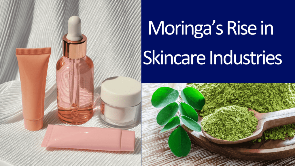 Moringa's Rise Skincare Industry