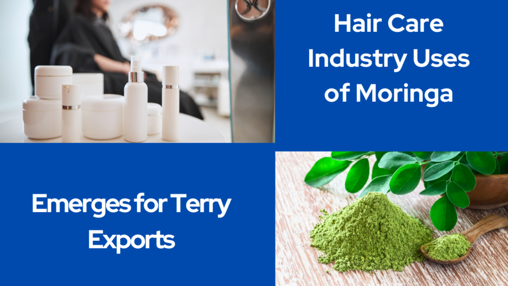 Hair Care Moringa