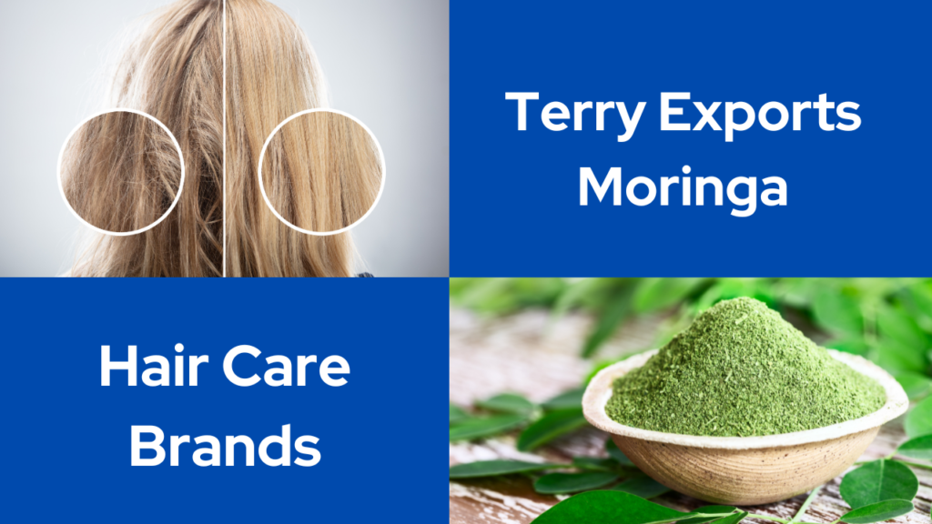 Terry Exports Moringa