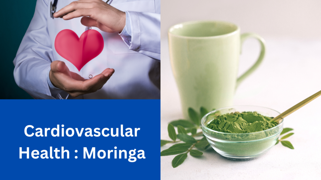Moringa Powder