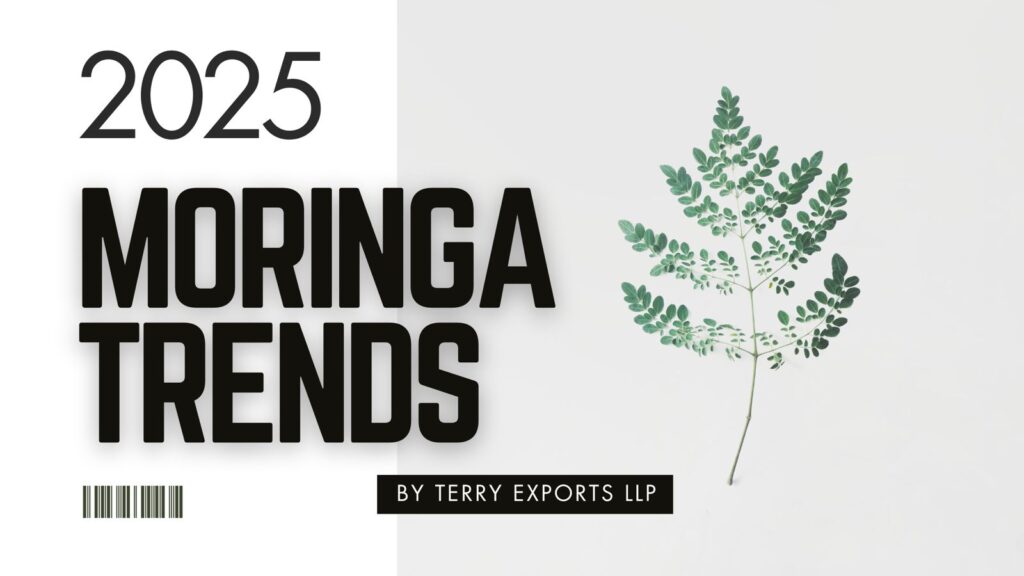 Moringa Trends 2025