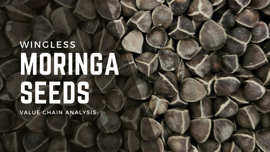 Value Chain Analysis of Wingless Moringa Seeds
