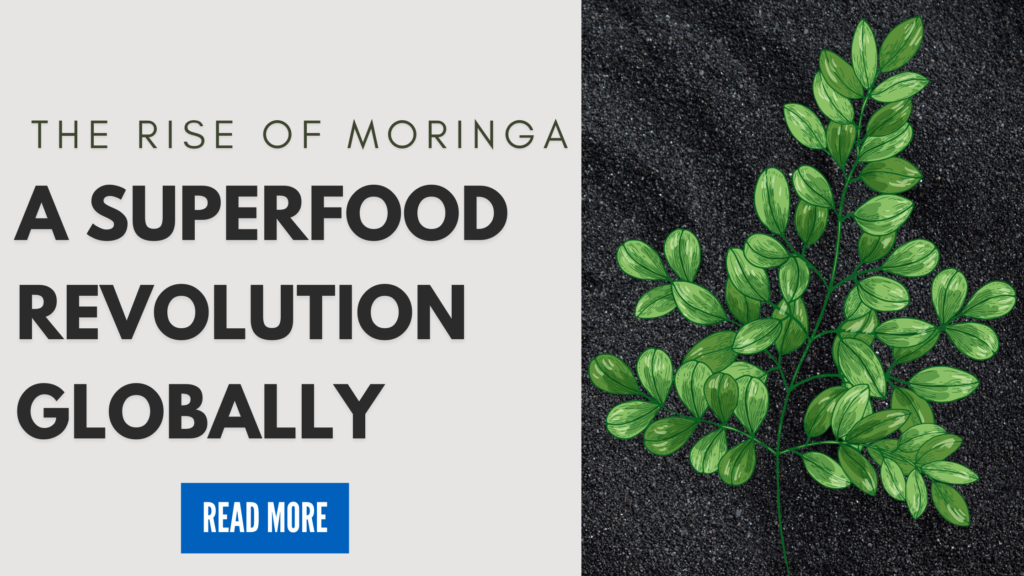 Moringa Superfood